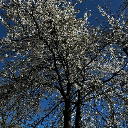 Weitblick Apartment Erftstadt