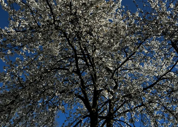 Weitblick Lejlighed Erftstadt