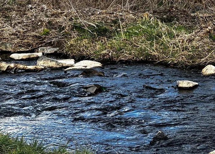 Weitblick Lejlighed *